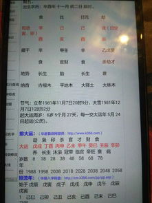 八字巳亥对冲如何办