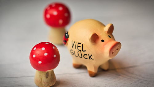 1971年属猪水瓶男