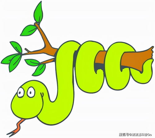 属蛇亥时出生下来的男生运势