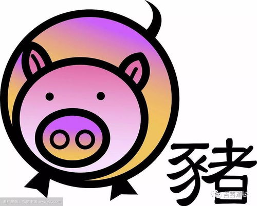 属猪和属鼠的婚姻如何