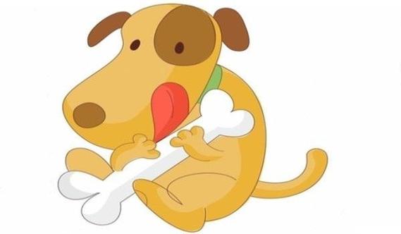 属狗的八字命理与属什么的适宜