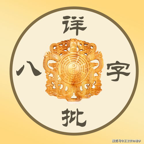 属龙的人一辈子的运势是如何的