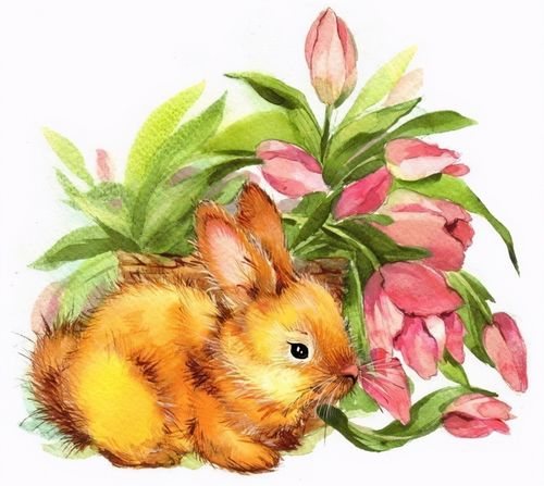 属猴和属兔相组合如何