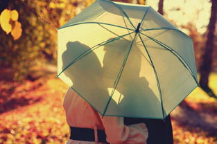 如何看两个人的八字相配吗