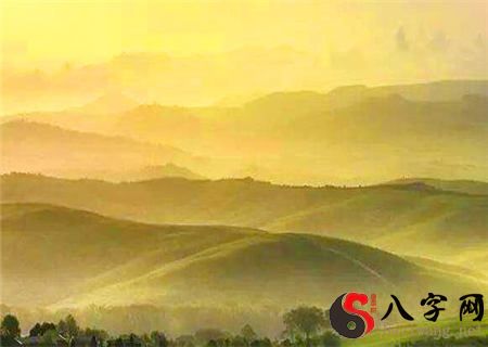 从生辰八字看相貌仪表