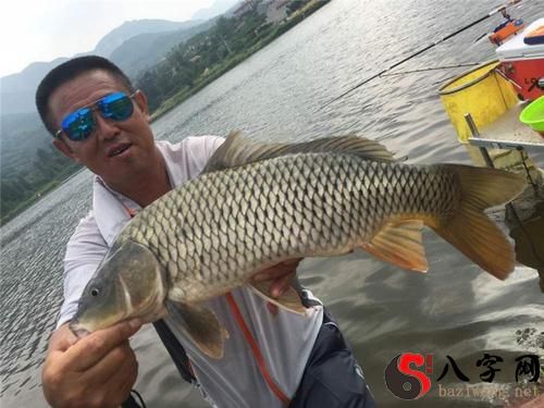 梦到抓到一条大鱼