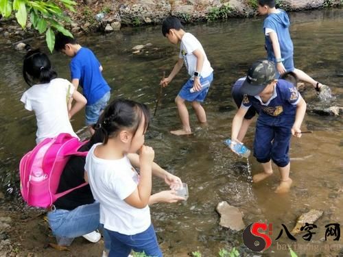 梦到在河里捉虾