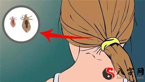 梦到头上许多虫子