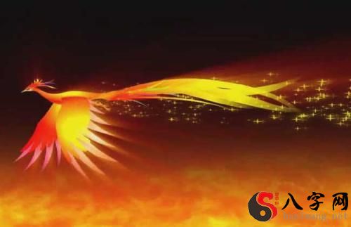 梦到凤凰啄大蛇