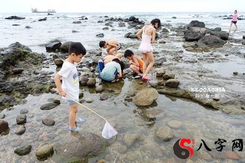 梦到和他人一起抓螃蟹