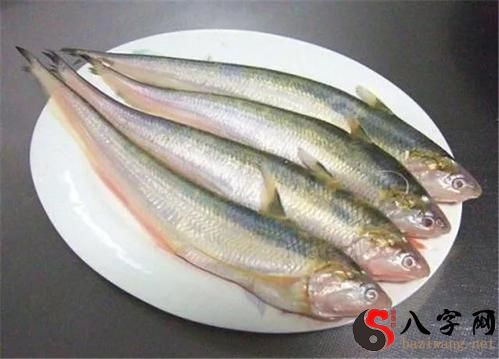 梦到河干刀鱼死掉