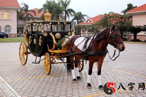 梦到马拉着车在跑