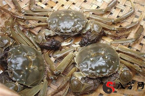 梦到死掉的螃蟹