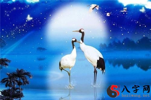 梦到仙鹤在水中