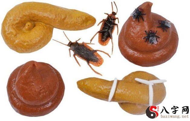 梦到衣服上有苍蝇屎