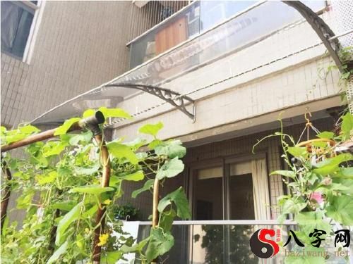 梦到马路边晾衣服