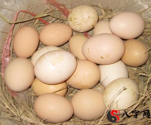 梦到他人送鸡蛋