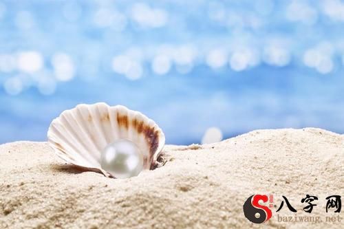 梦到珍珠贝壳