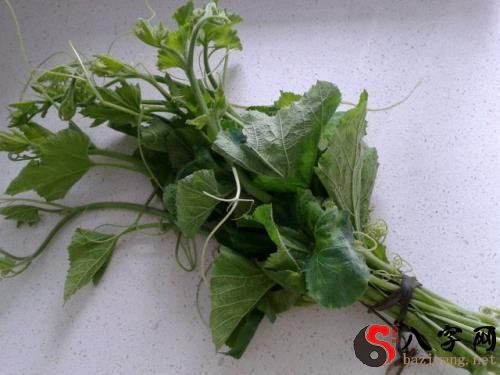 梦到摘南瓜叶子