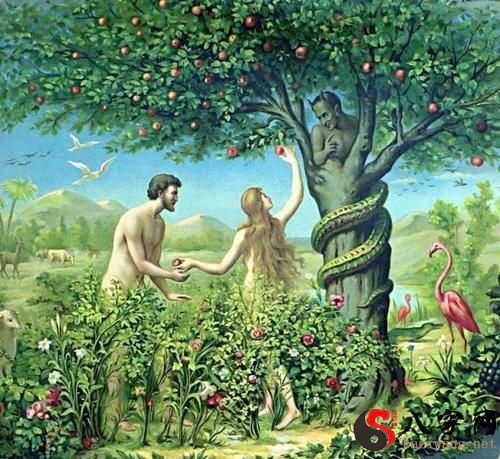 梦到夏娃和亚当