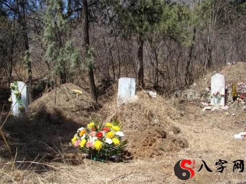 梦到祭扫扫错墓