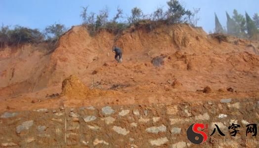 梦到祖坟被破坏