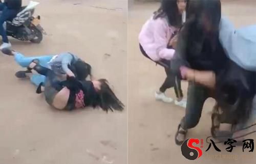 梦到看到人打架