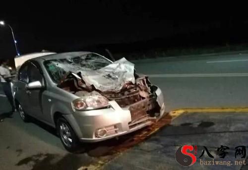 梦到开车撞到牛