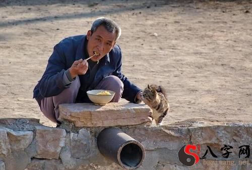 梦到吃饭吃出石头