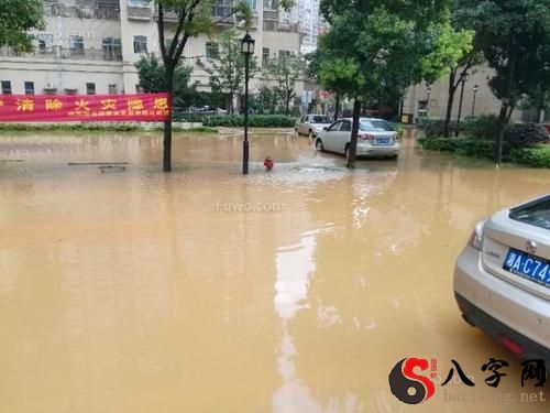 梦到回家的路被水淹