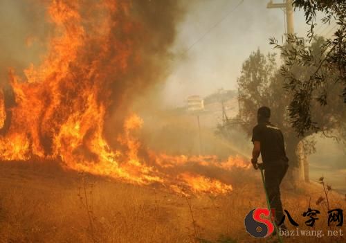 梦到火苗被我浇灭了