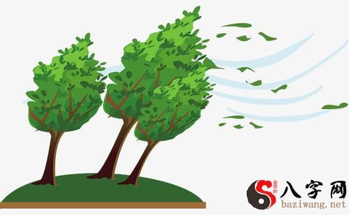 梦到风把墙壁吹倒了