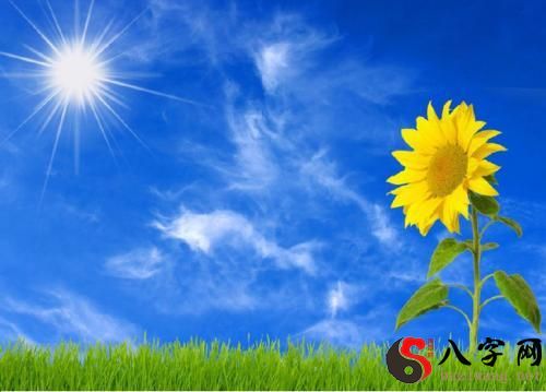 梦到蓝天太阳