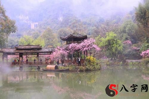 梦到光身子在水中游