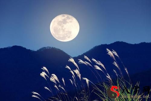 梦到皎洁的月光