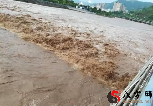 梦到河水把我冲走