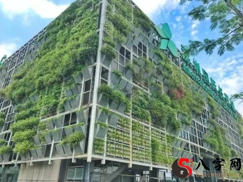 梦到农田里长草