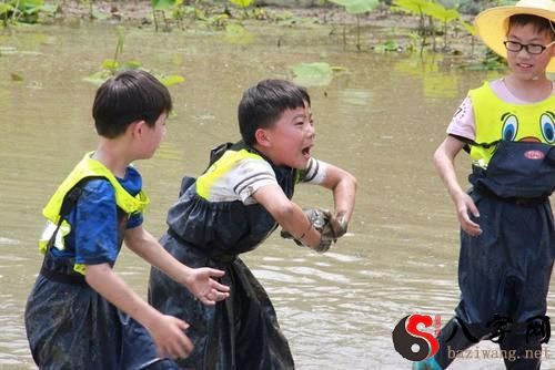 梦到浑水洗衣服