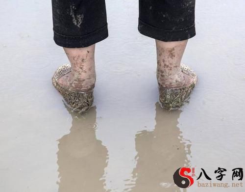 梦到腿上有泥