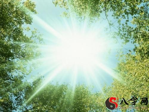 梦到太阳光很强很晒