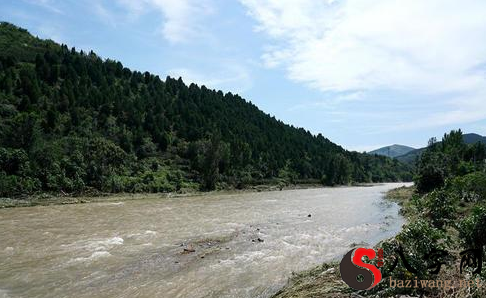 梦到河流水势很大