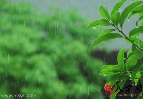 梦到外面有小雨