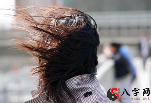 梦到吹很大的风