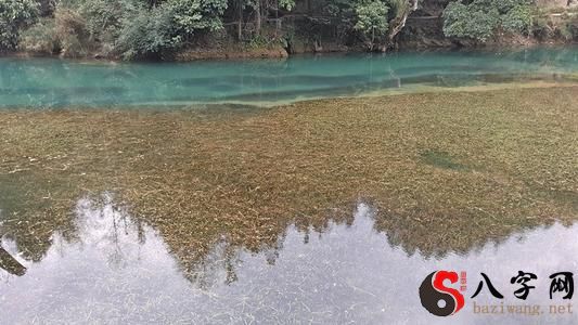 梦到清澈见底的河水