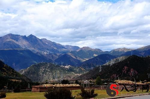 梦到从山上掉下来了