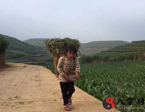 梦到从山坡上掉下来