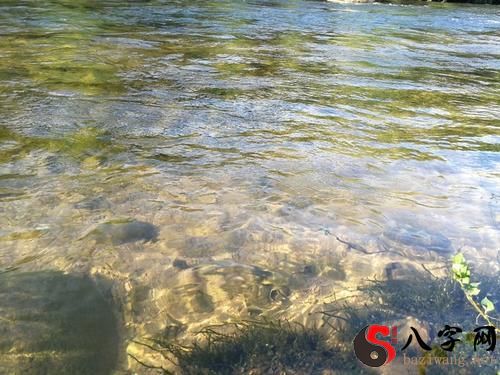 梦到河水清澈