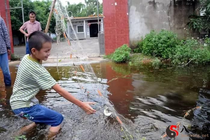 梦到路上发大水