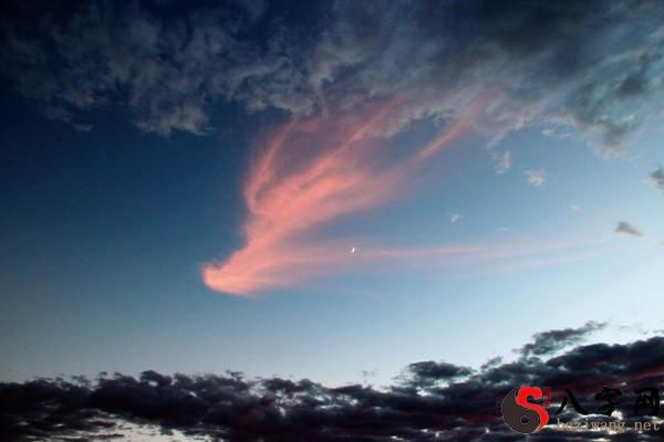 梦到天空出现凤凰