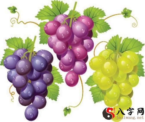 梦到天空下葡萄